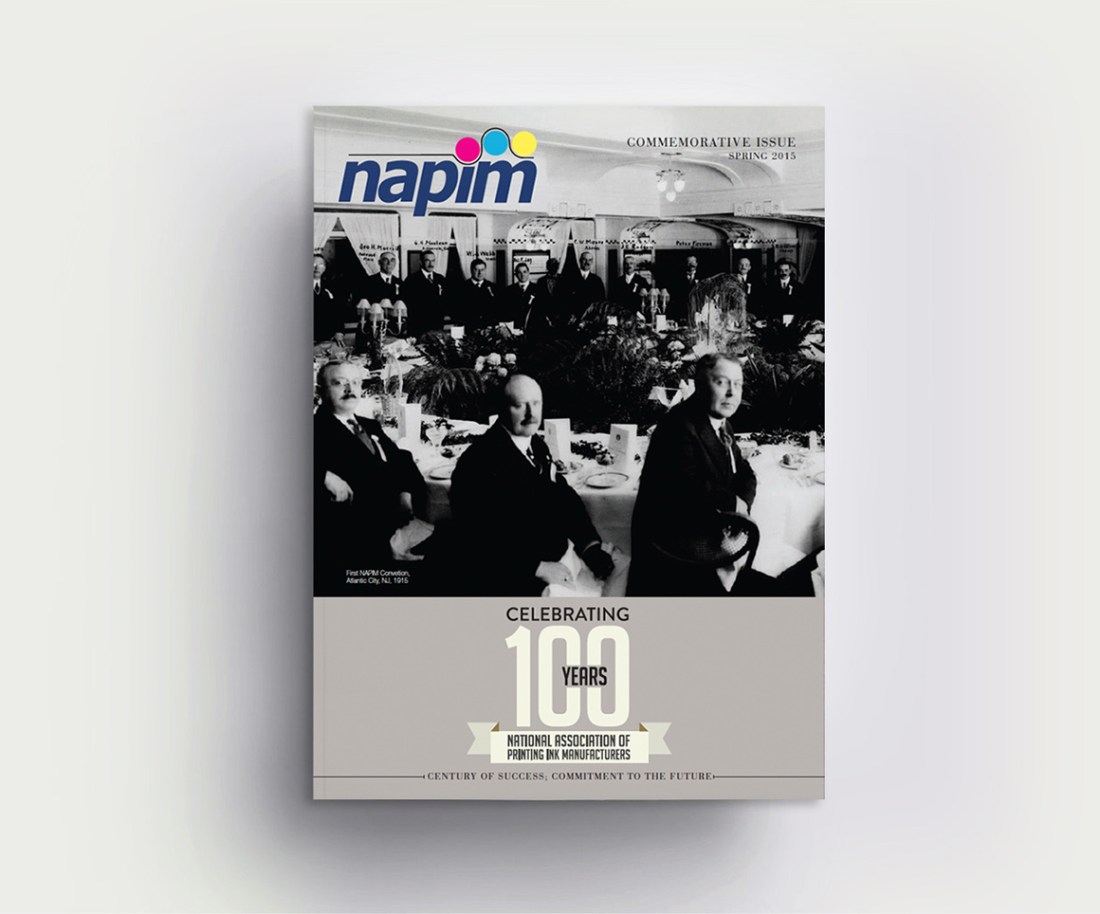 Cover_NAPIMr